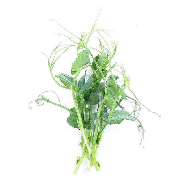 Hrášek - čerstvé výhonky od Flancky