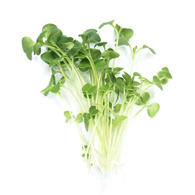 Brokolice - čerstvé výhonky od Flancky