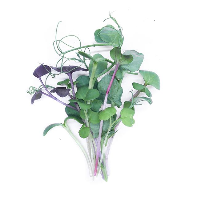 Výhonky MIX - čerstvé výhonky od Flancky