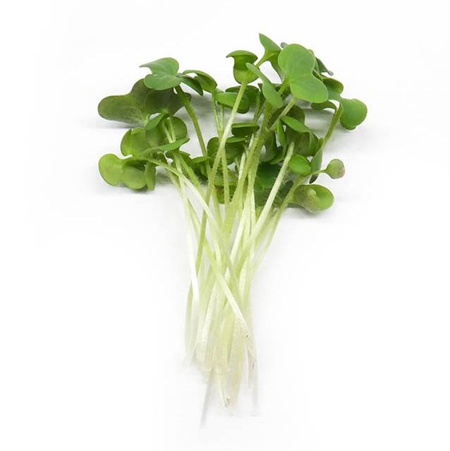 Hořčice bílá - čerstvé výhonky od Flancky